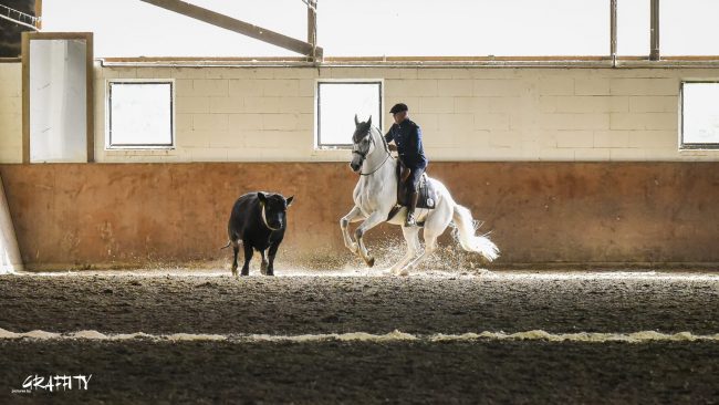 WhatsApp Image 2023-07-24 at 15.31.10